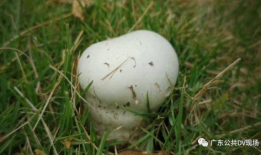 吃瓜爆料医生群是真的吗,吃瓜爆料医生群事件真相